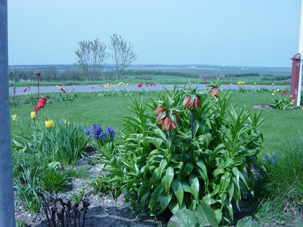 Kardybvej 8 Bed & Breakfast Tastum Bagian luar foto